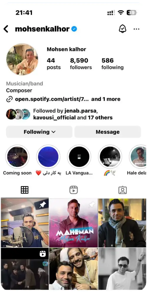 Instagram Verified Badge17
